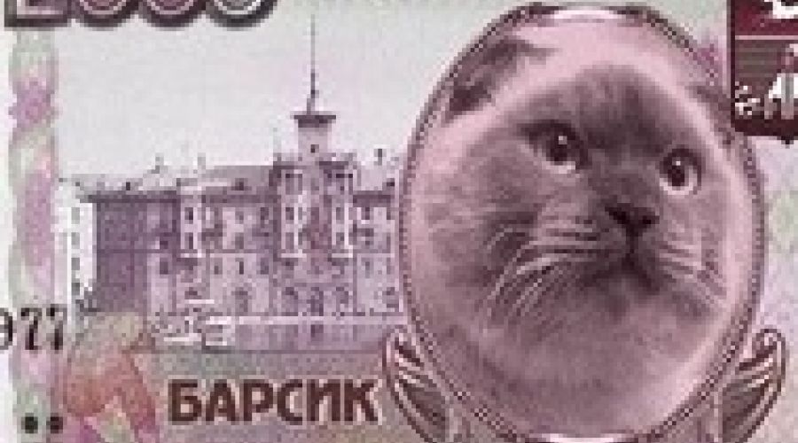 Барнаульский «мэр» осаждает ЦБ