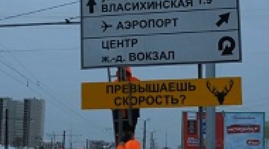 «Основной инстинкт» барнаульских водителей