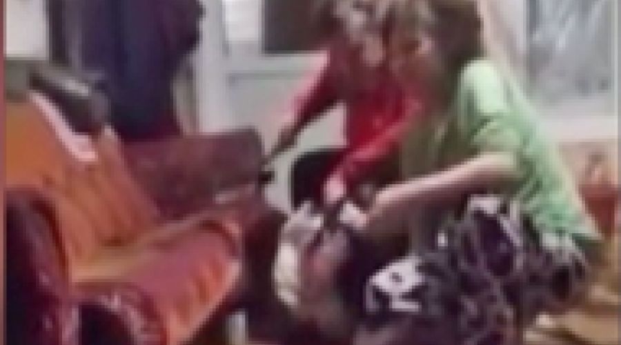 Каменская «битва» на сносях