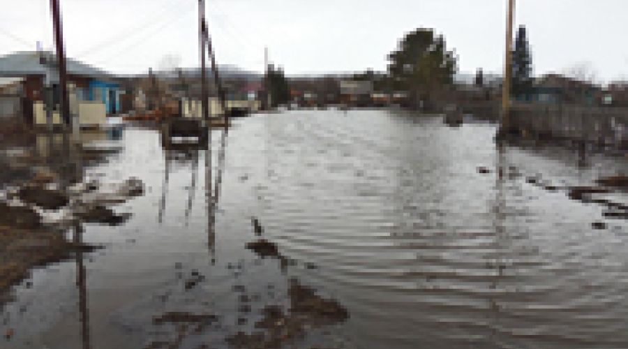 Хляби алтайские