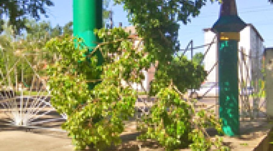 Барнаульцы как вредители