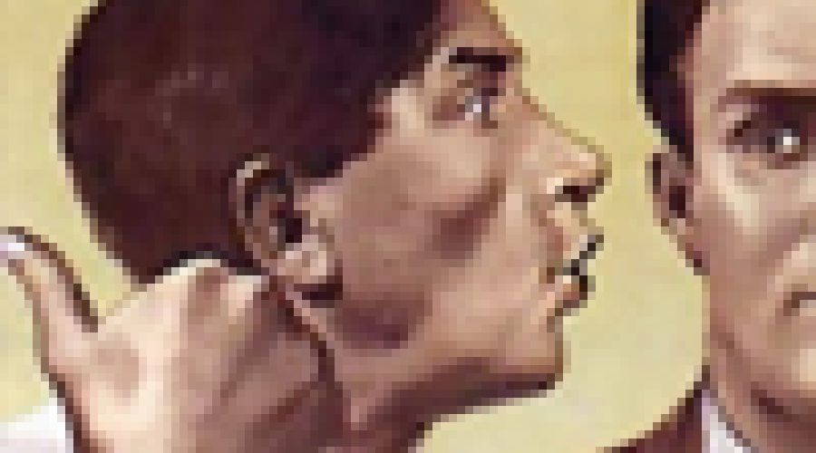 «Народ у нас бедноватый, конечно, захочет заработать»: алтайская общественность отозвалась на инициативу о «премиях» информаторам полиции