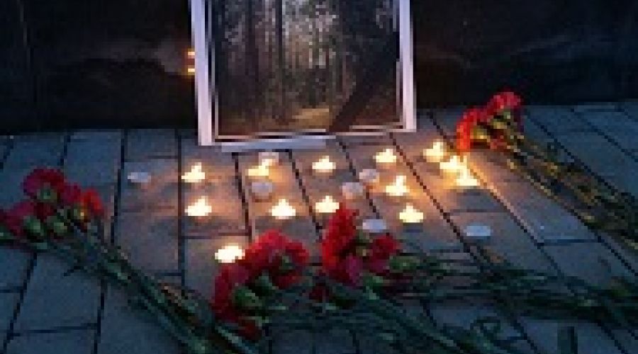 «Похороны» соснового бора