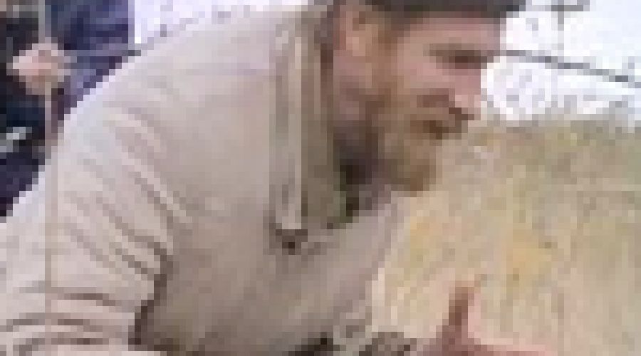 «Регион упущенных возможностей»: эксперты оценили место «двух Алтаев» в новой политической «шестилетке»