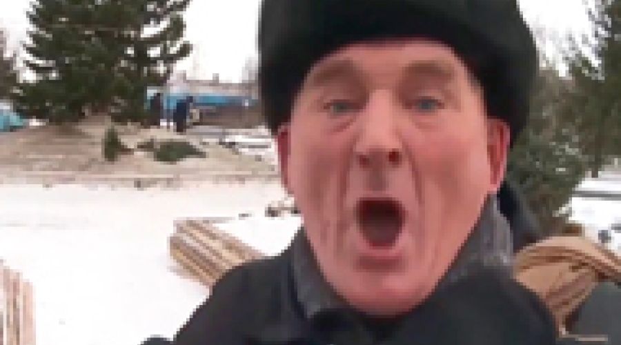 В Бийске с елочкой беда