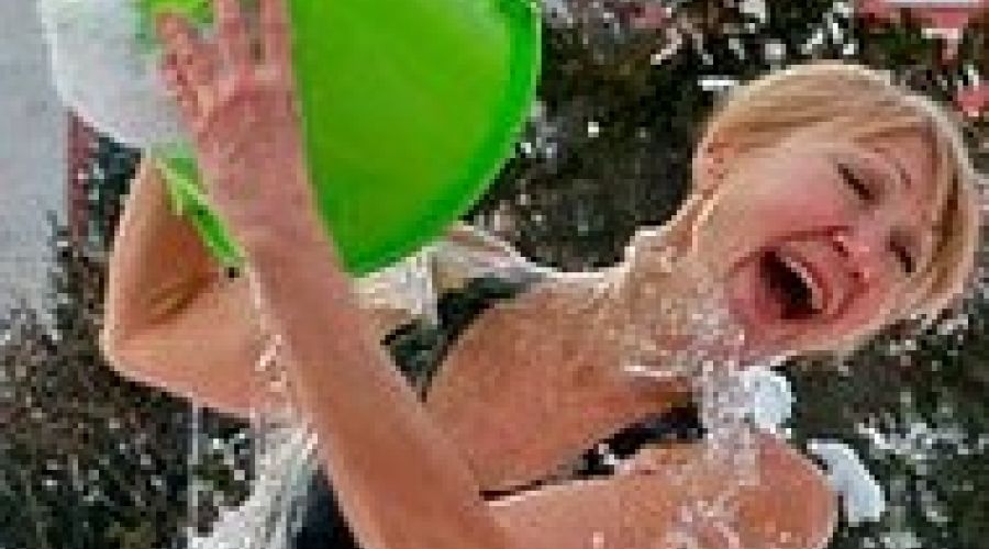 Мороженые моржи