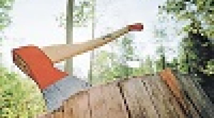 «Топор войны»: алтайские эксперты и политики поделились взглядами на скандал в лесной отрасли