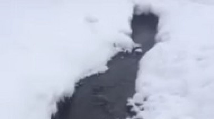 Выгребная Бия