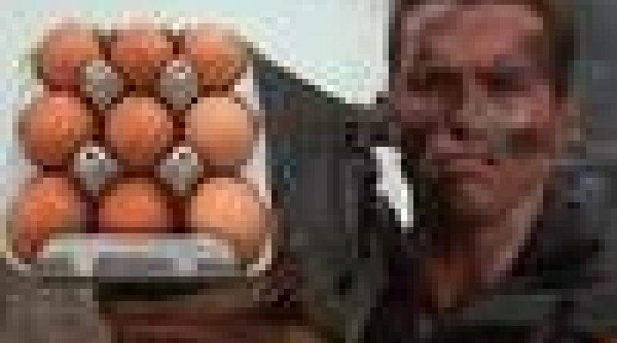 «Докатились до яйца»: эксперты из Алтайского края присмотрелись к «подтаявшим» порциям продуктов в магазинах