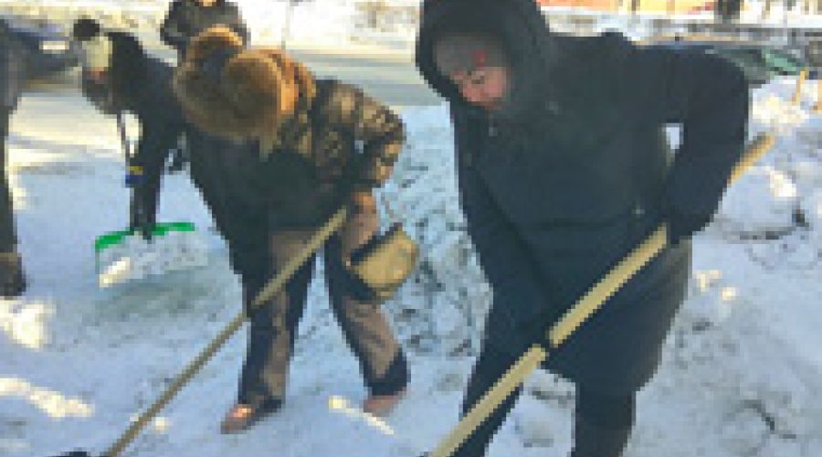 «Жириновцы» устроили чистки