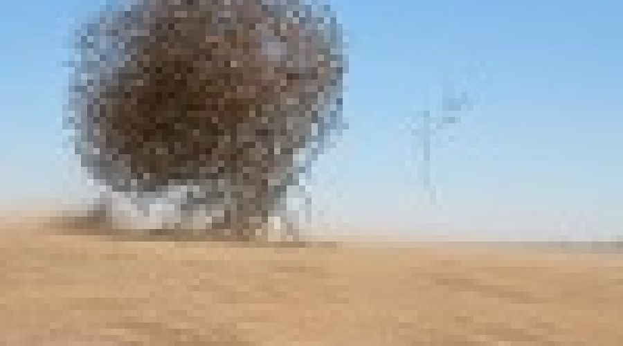 «Откуда руки растут<span style=