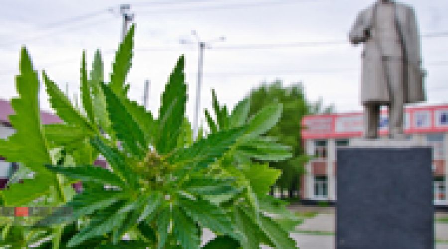 Смех и грех