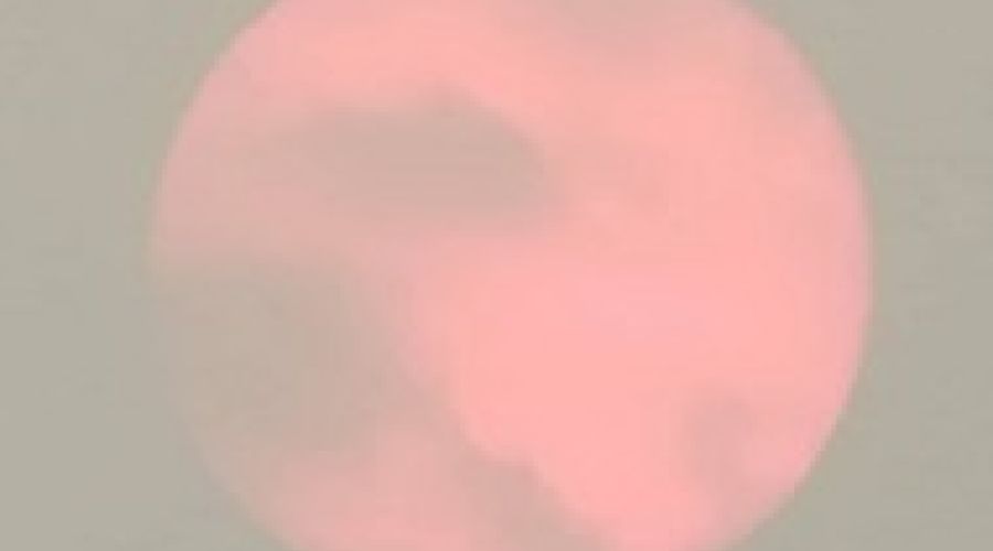 Край кровавого солнца