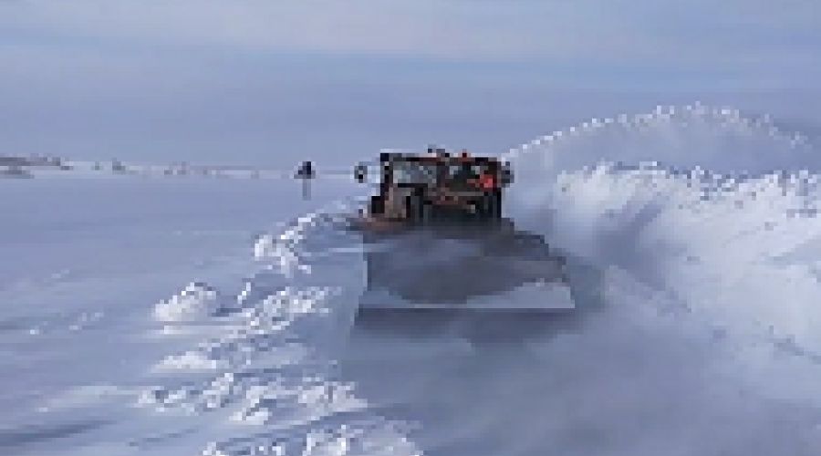 Сводки с «алтайского фронта»