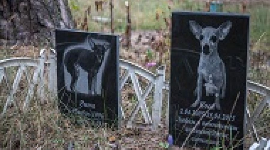 Загробный зоомир