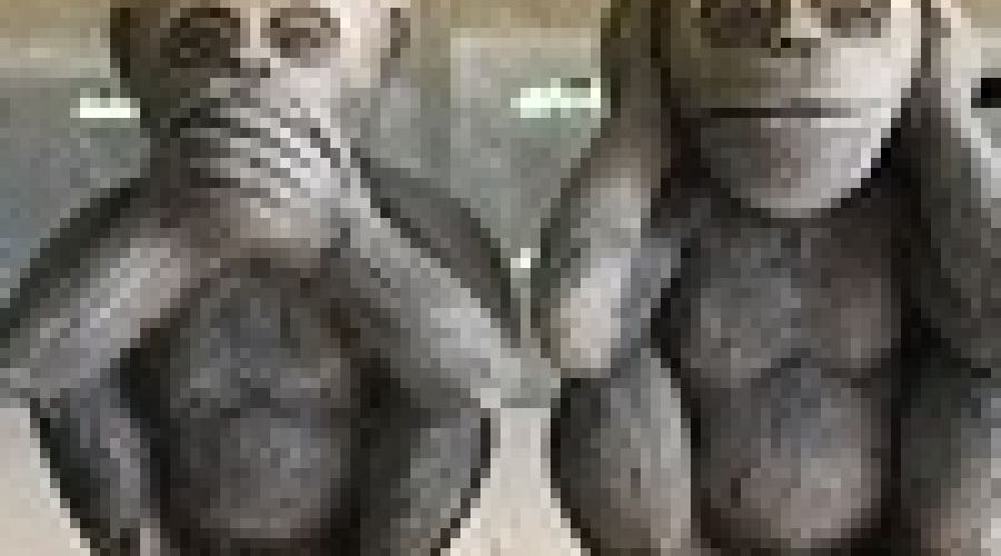 «Мы давно живем в разных мирах»: журналисты и общественники Алтайского края поспорили с чиновниками об их открытости