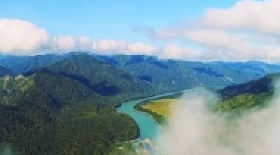 Алтай Simple Present