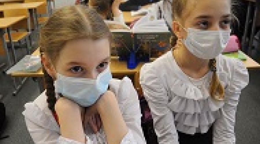 «Ковидные» линейки