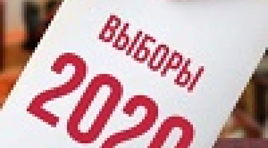 «Это какой-то диагноз»: эксперты подвели итоги «промежуточных» выборов в Алтайском крае