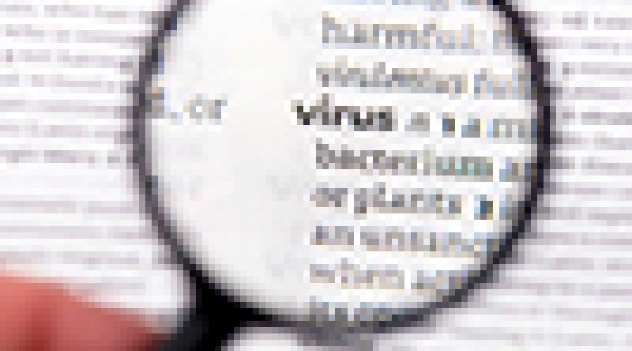 20 представителей власти, бизнеса и общества из Алтайского края выбрали цензурные слова для описания 2020 года