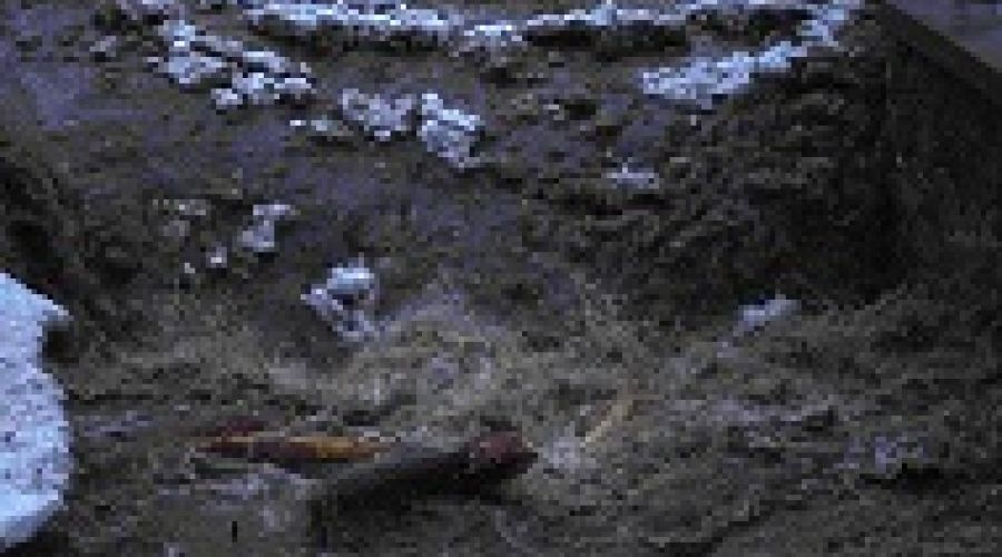 Алтай потерял берега