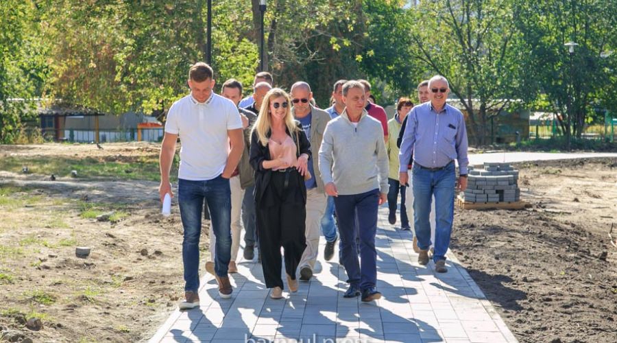 Барнаульцы договорились с мэрией о сносе опасных деревьев в Мизюлинской роще