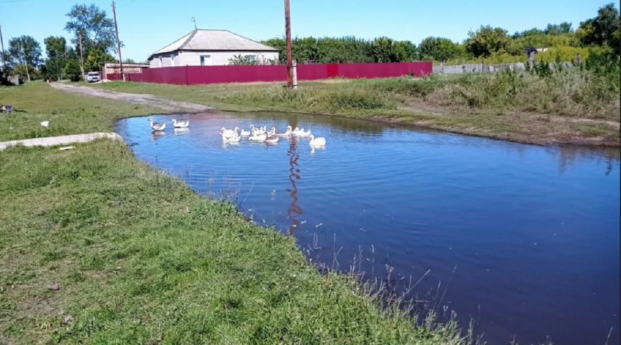 Запруда в Андроново