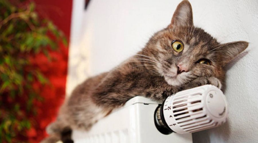 Бийчане начнут греться первыми