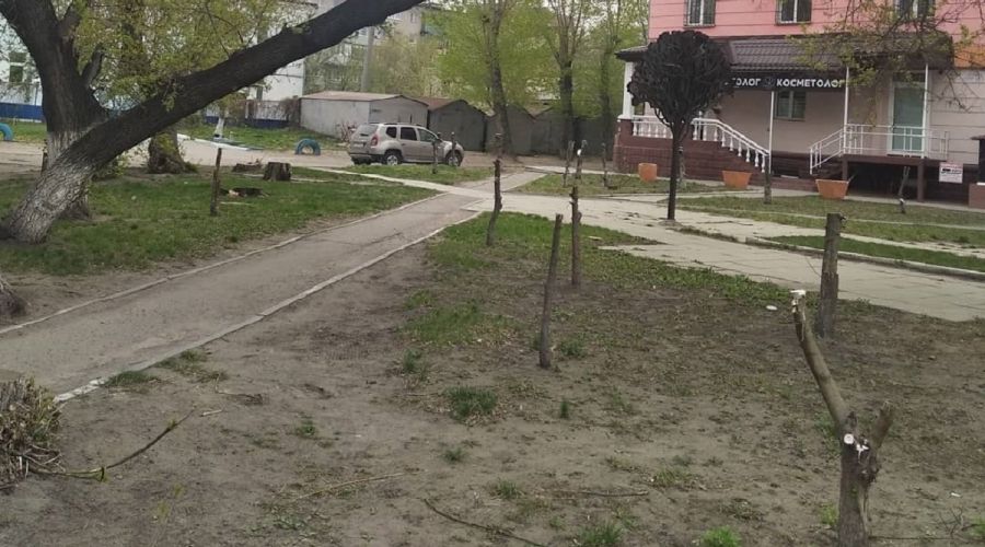 Следствие запнулось о пеньки: полиция не нашла ответственных за вырубку зеленого сквера в Барнауле