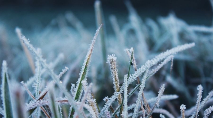 Заморозки уже на подходе