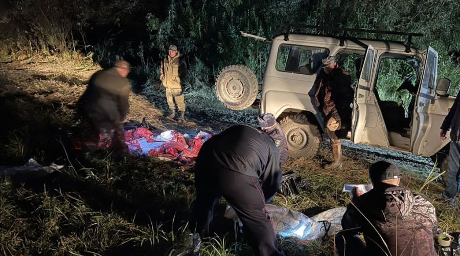 Алтайскому охотнику грозит срок за нелегальную добычу марала в Солонешенском районе
