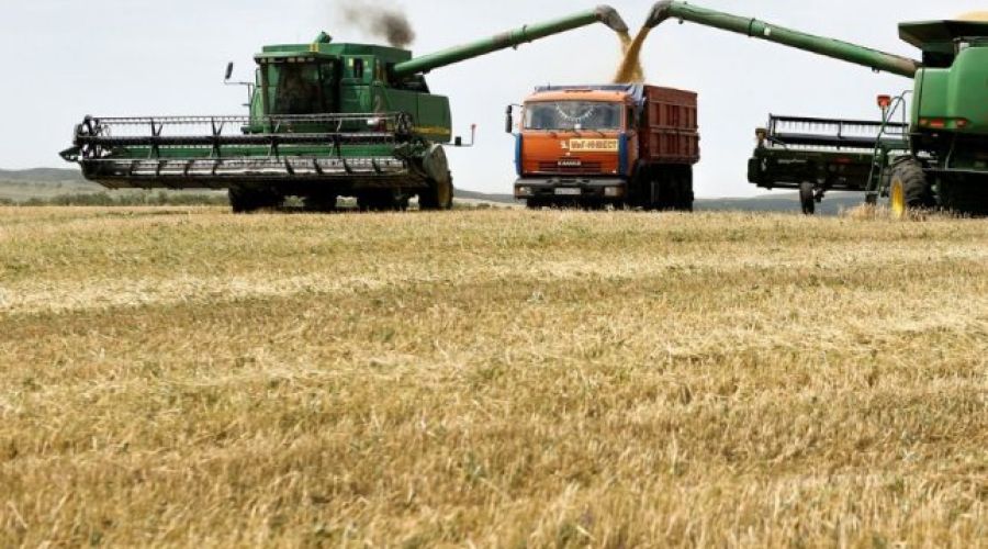 Зерно еще убрали не полностью