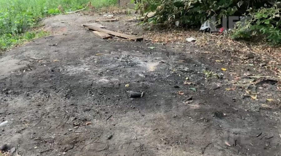 Правоохранители расследуют уголовное дело о сожжении младенца в Барнауле