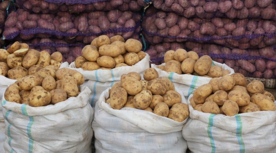 Цены на картофель продолжают расти