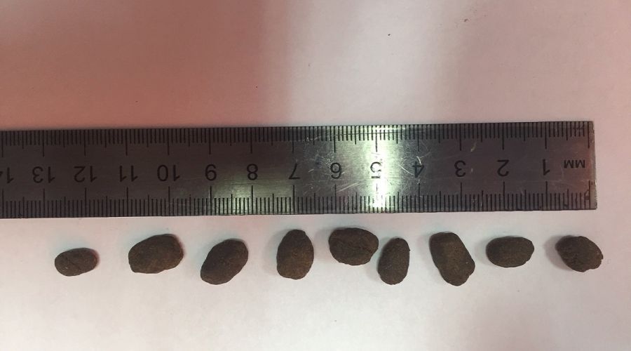 Замаскированный под кофе гашиш пытались провезти через аэропорт Барнаула