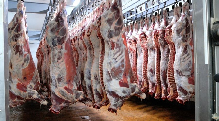 Сейчас скот можно забивать только на специальных площадках