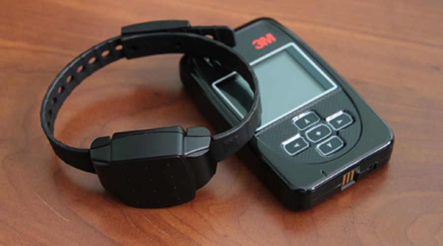 Пока опекуна ждет домашний арест