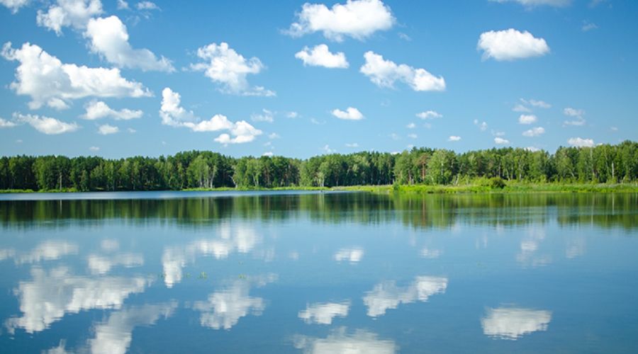 Эколог из алтайского «Народного фронта» заявил о необходимости изучить проблему заболачивания озера Уткуль