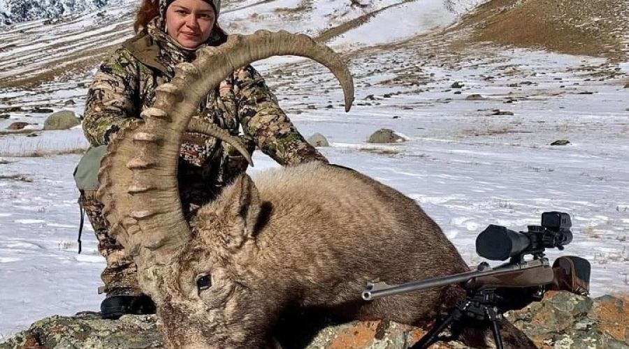 Депутат Госдумы попросил главу Республики Алтай запретить охоту на козерогов