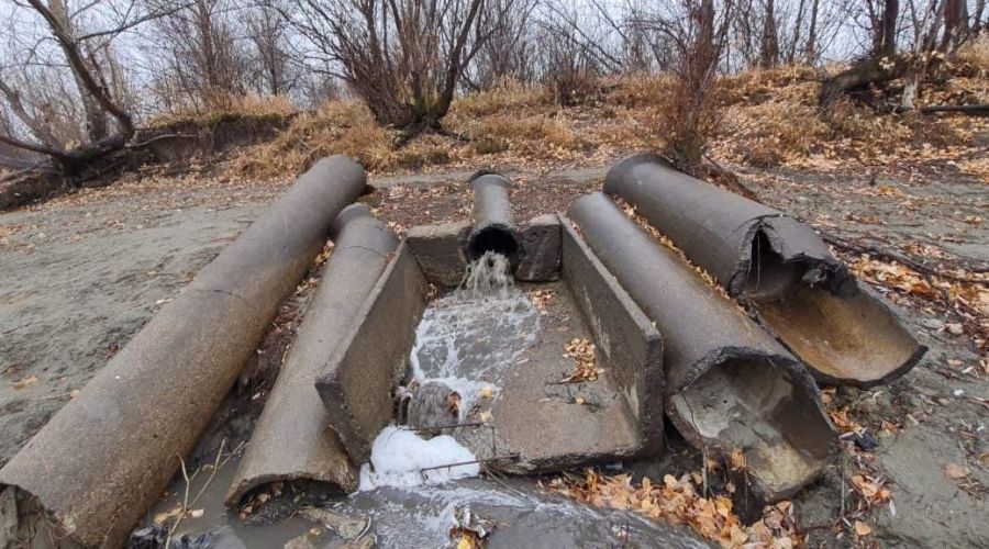 Барнаульские моржи рассказали об усилении сброса зловонных стоков в Обь в районе Нового моста