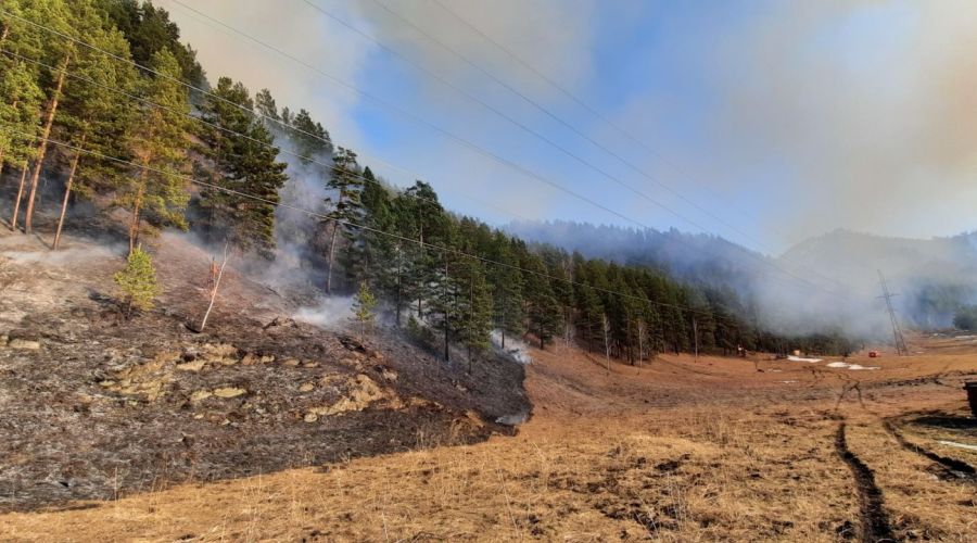 Житель Республики Алтай заплатил почти 900 тысяч рублей за устроенный им лесной пожар