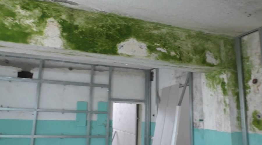 Жители Заринского района рассказали о попытке скрыть затянутые плесенью стены школы под гипсокартоном