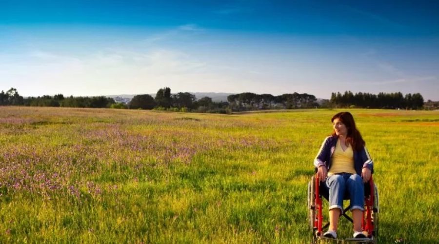 Дать и взять: алтайские чиновники забрали у 18 инвалидов выделенную им ранее землю