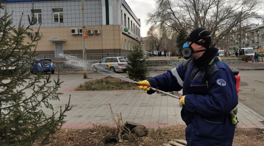 Страшный дух праздника: в Рубцовске обрабатывают ели от вандалов в преддверии Нового года